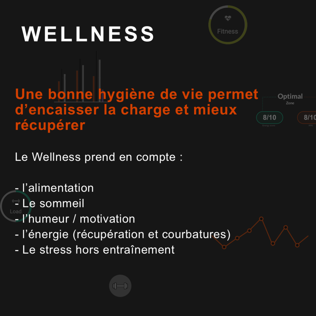 qu'est ce que le wellness