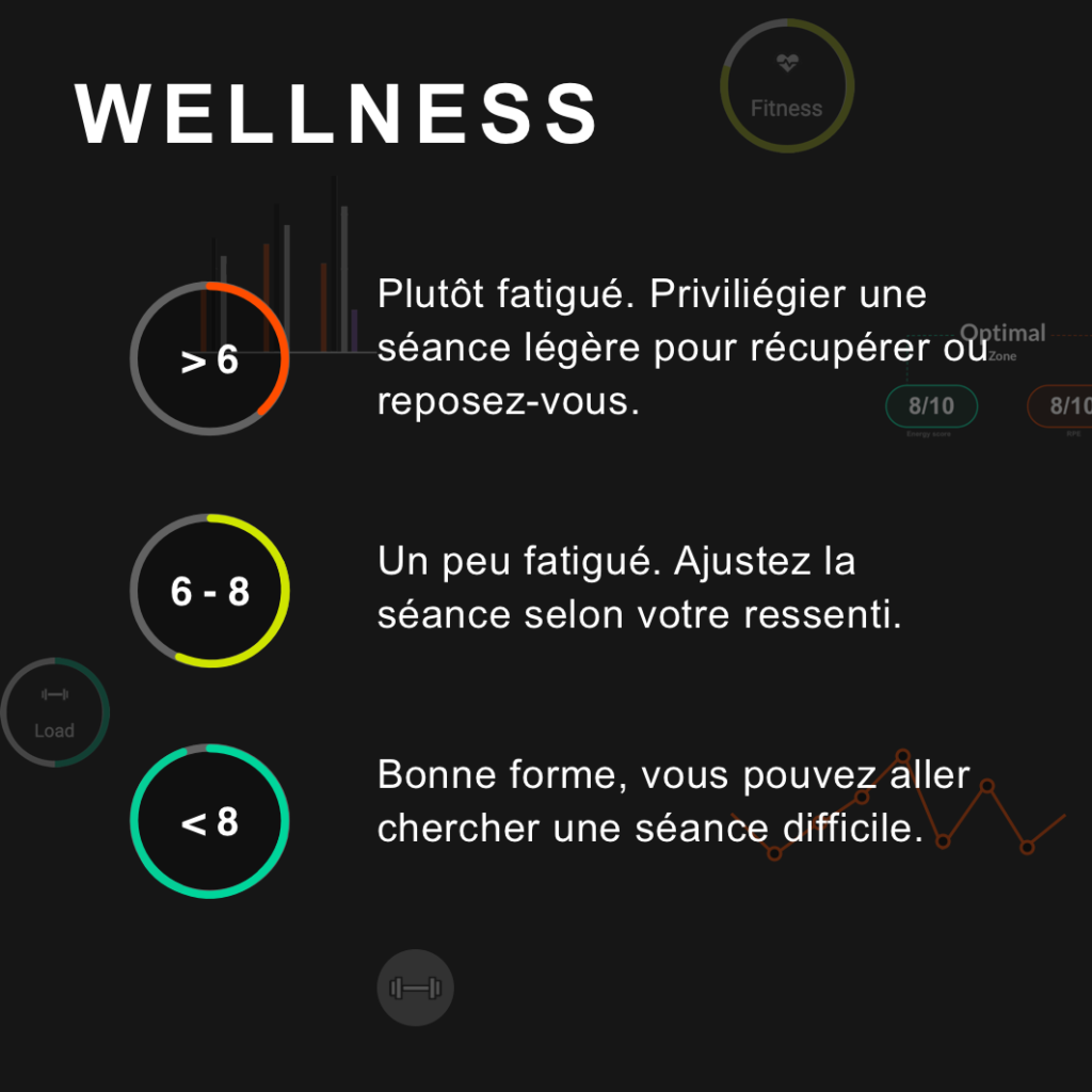 indice de wellness