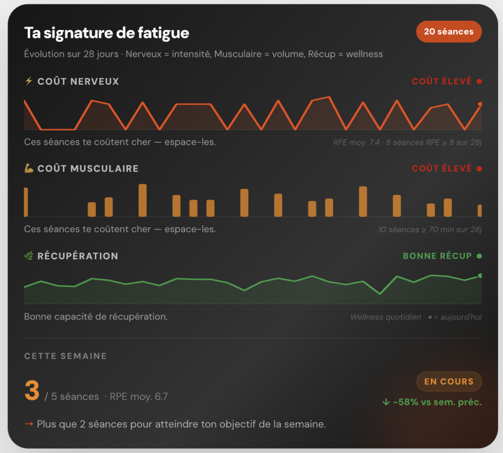 signature de fatigue theperfclub