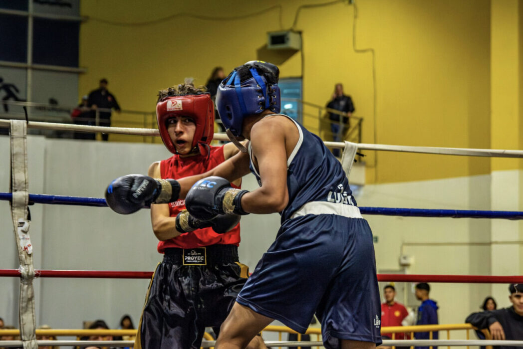 Programme Boxe — Préparation Physique 8 Semaines